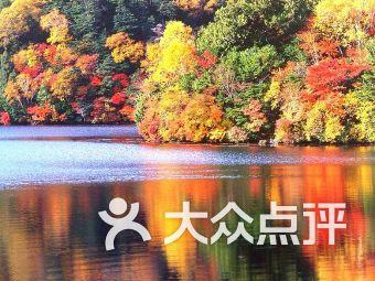 怎么炒年糕好吃游戏画面
