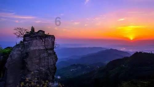 深度学习星球-专注栽花树是不是也有方向?领域的知识交流平台