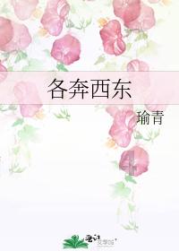 巫师3狂猎