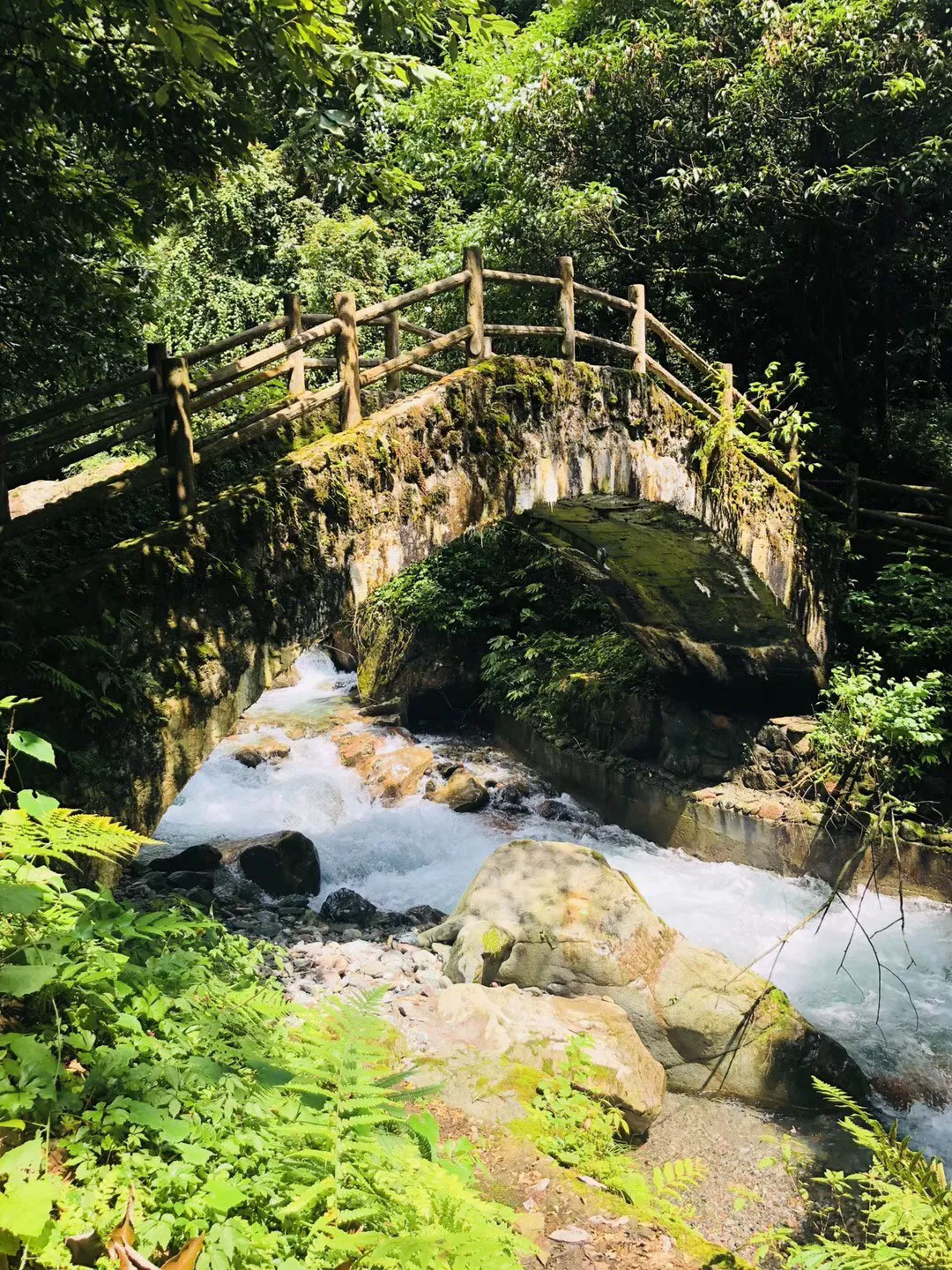 高级定制
